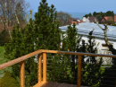 DSC_1236.JPG